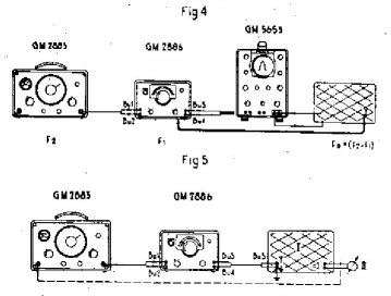 Gm-2886_meet.jpg (21822 bytes)